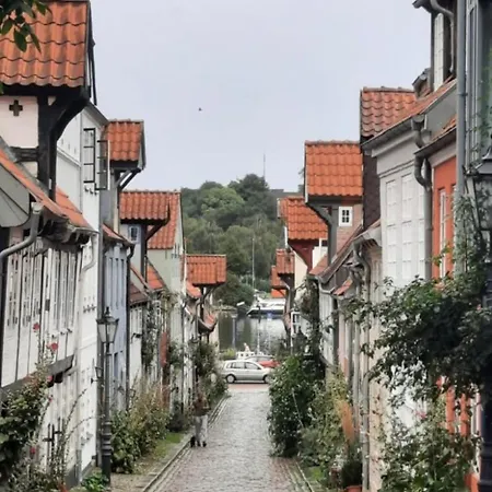 Apartment Altstadtapartment- Historischer Charme Trifft Modernen Komfort Zentral & Gemuetlich Mit Parkplatz!